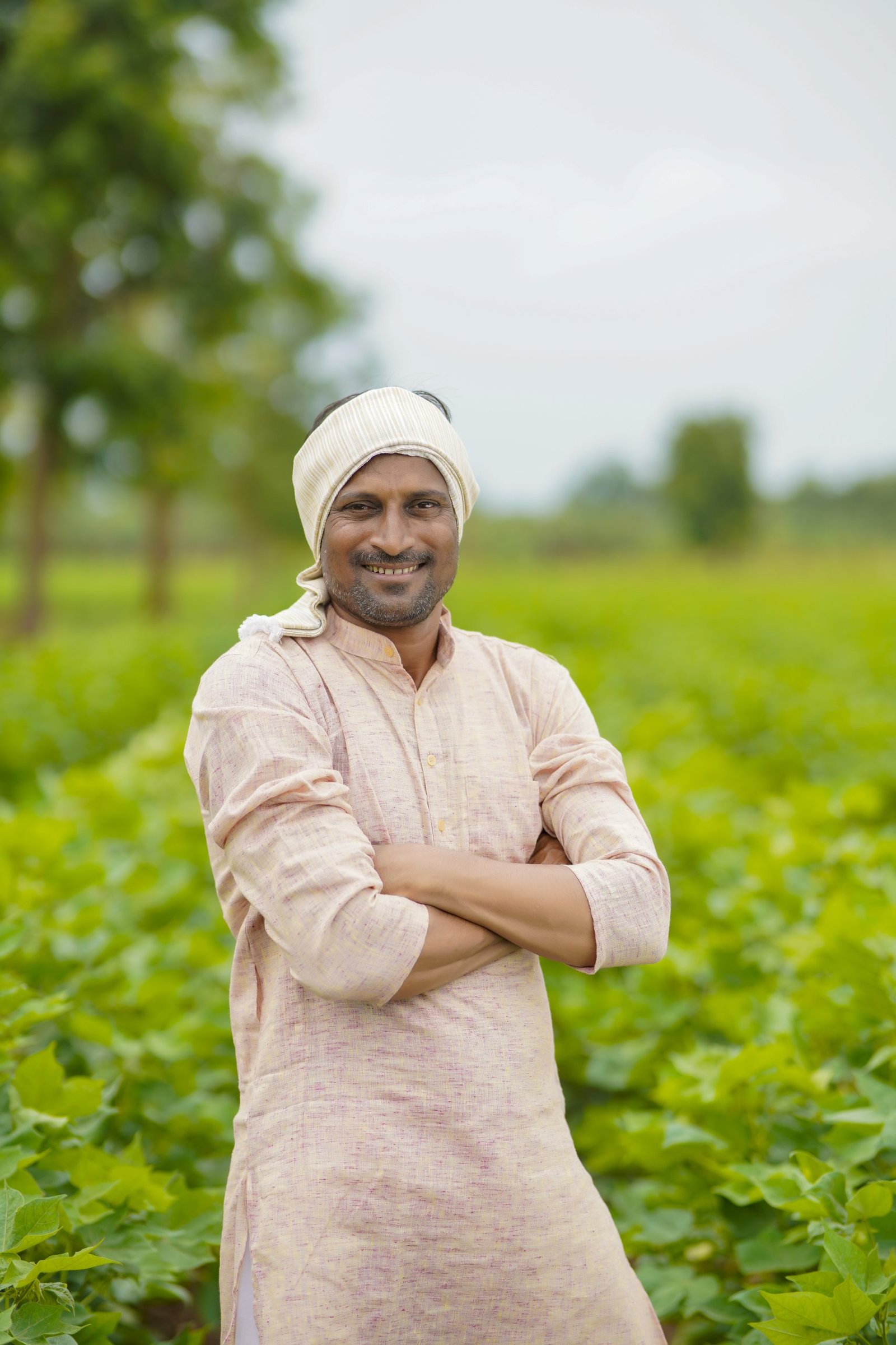 ShriRamdev%20Seeds,%20Sriganganagar