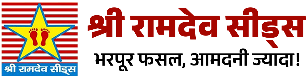 ShriRamdev%20Seeds,%20Sriganganagar